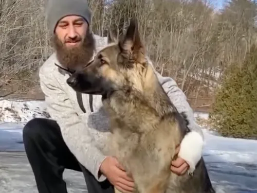 Un chien mène la police sur les lieux de l’accident de son maître...
